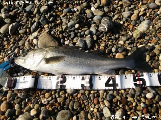 �����Х�