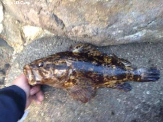 �٥å�������