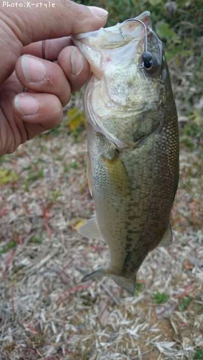 �֥�å��Х�