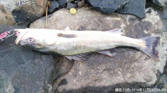 �����Х�