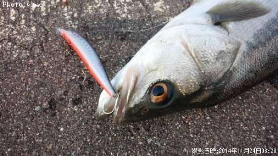 �����Х�