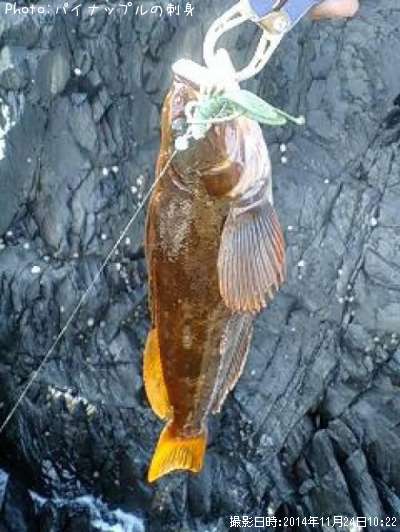 �����ʥ�