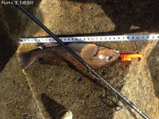 �����ʥ�