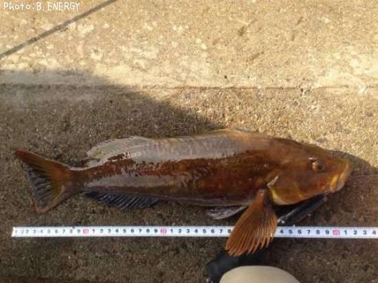 �����ʥ�