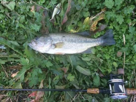 �֥�å��Х�