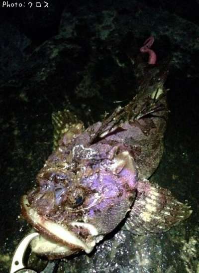 ���ॷ������