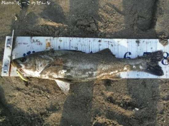 �����Х�