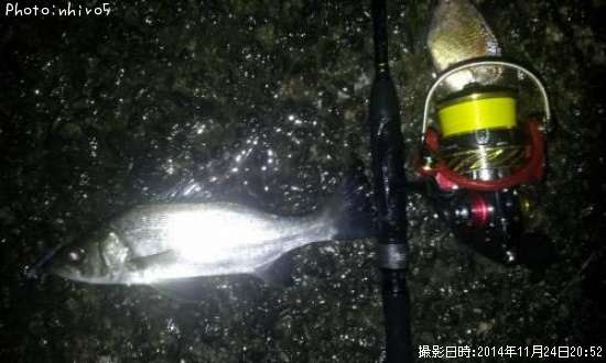 �ҥ饻����