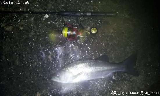 �ҥ饻����
