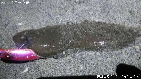 �����ҥ��