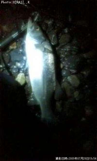 �ҥ饹����