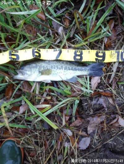 �֥�å��Х�