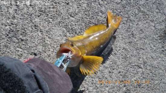 �����ʥ�