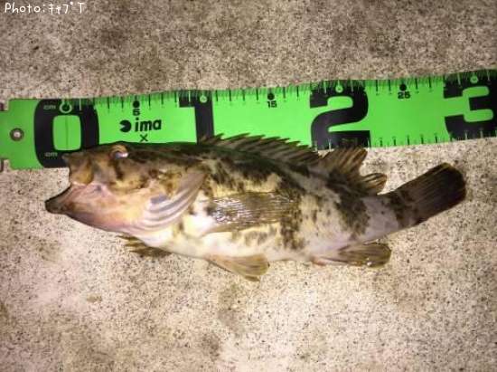 �����Υ���Х�