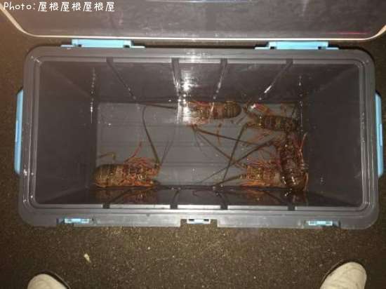 ���ꥬ�ˡʾС�