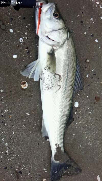 �����Х�