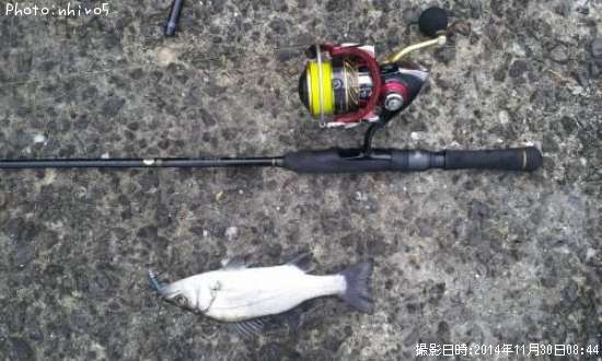 �ҥ饻����