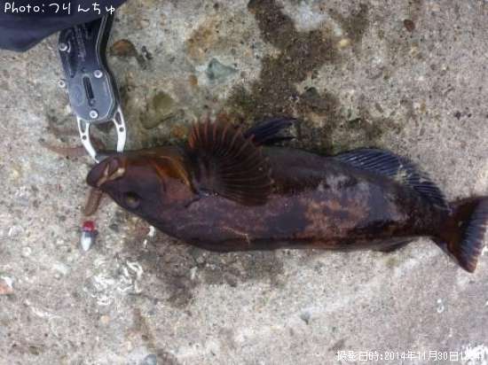 �����ʥ�