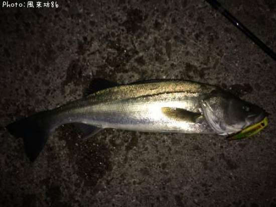 �����Х���