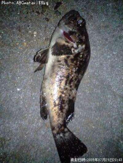 �����Υ���Х�