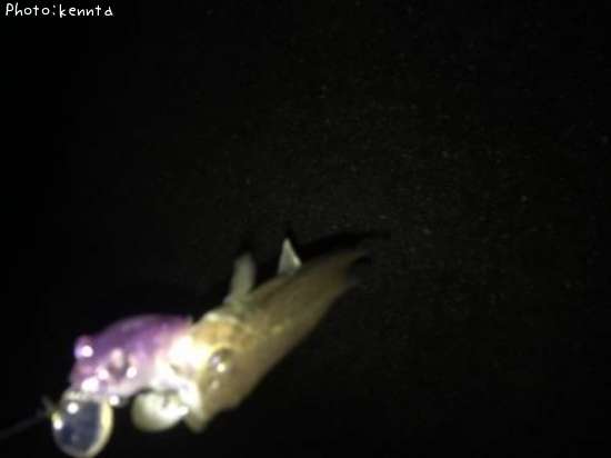 �֥�å��Х�