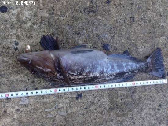 �����ʥ�