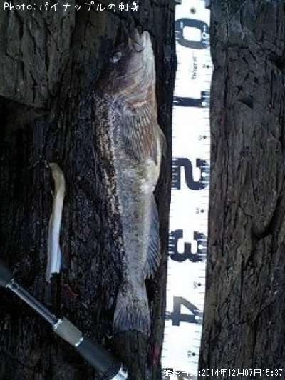 �����ʥ�