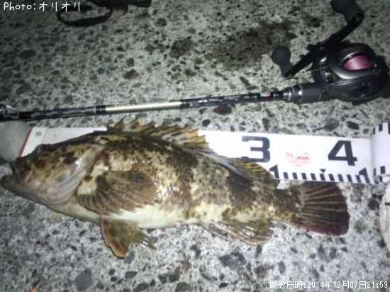 �٥å�������