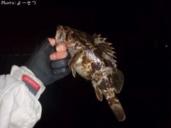 �����Υ���Х�