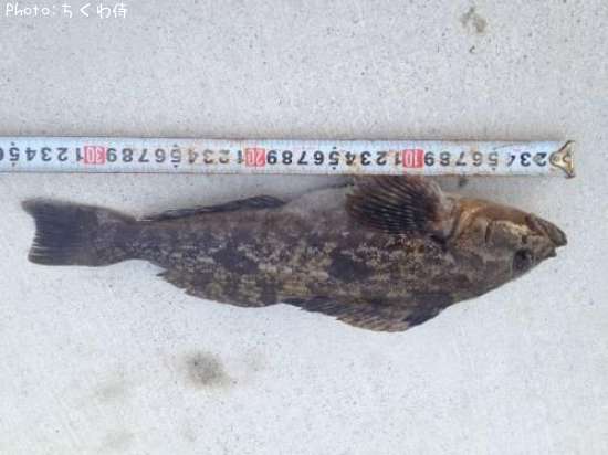 �����ʥ�