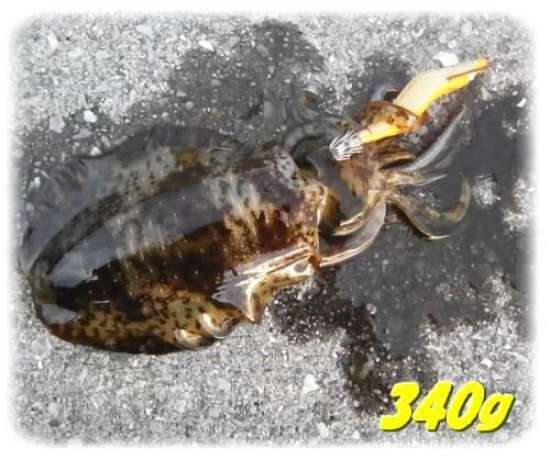 �����ꥤ��