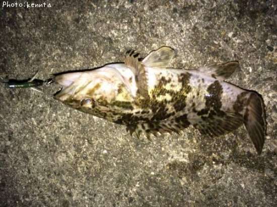 �����Υ���Х�