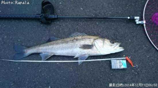 �����Х�