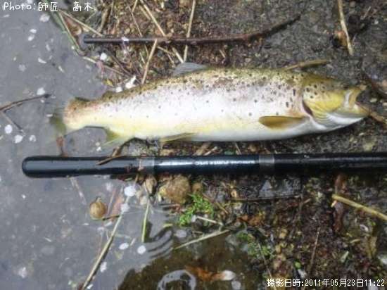 �֥饦��ȥ饦��