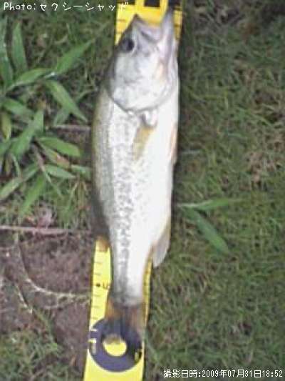 �֥�å��Х�