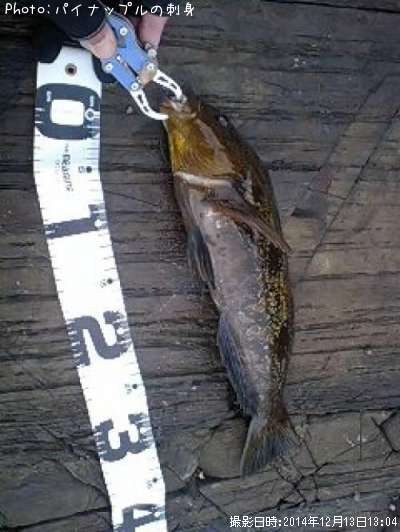 �����ʥ�