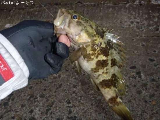 �����Υ���Х�