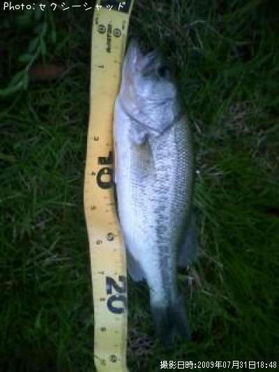 �֥�å��Х�