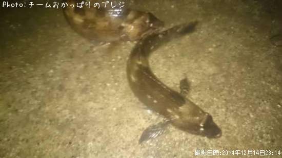 �����ʥ�