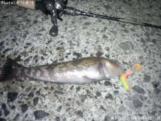 �����ʥ�