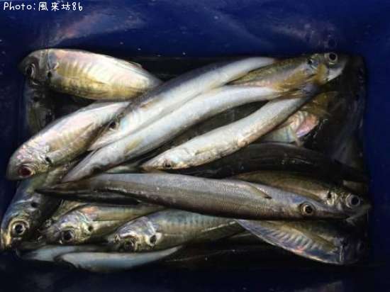 ���������ޥ�