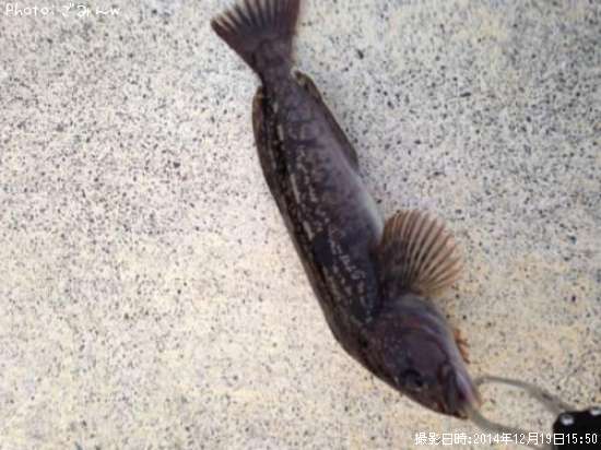 �����ʥ�