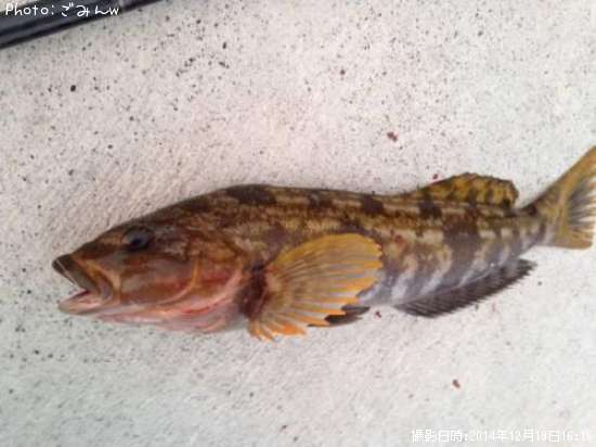 �����ʥ�