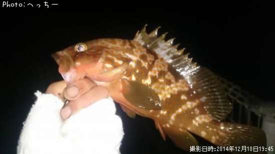 �����ϥ�