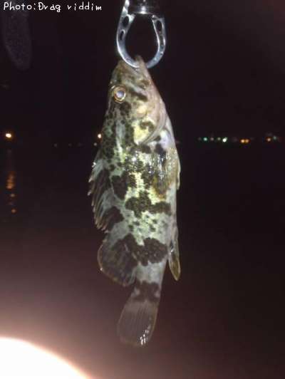 �����Υ���Х�