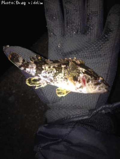 �����Υ���Х�