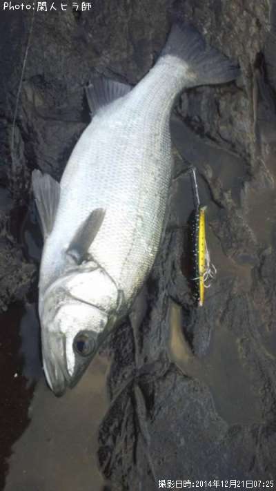 �ҥ饹����