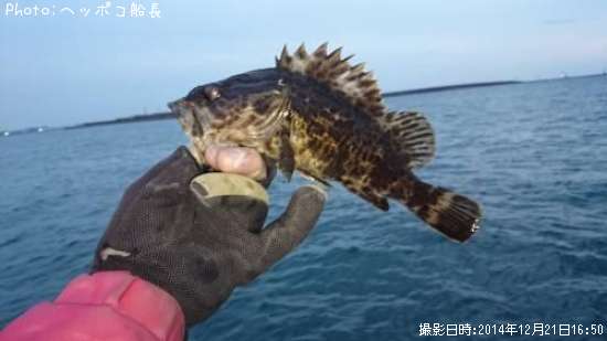 �����Υ���Х�