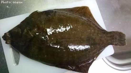 �ޥ����쥤