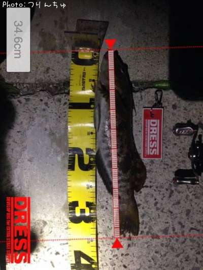 �����ʥ�